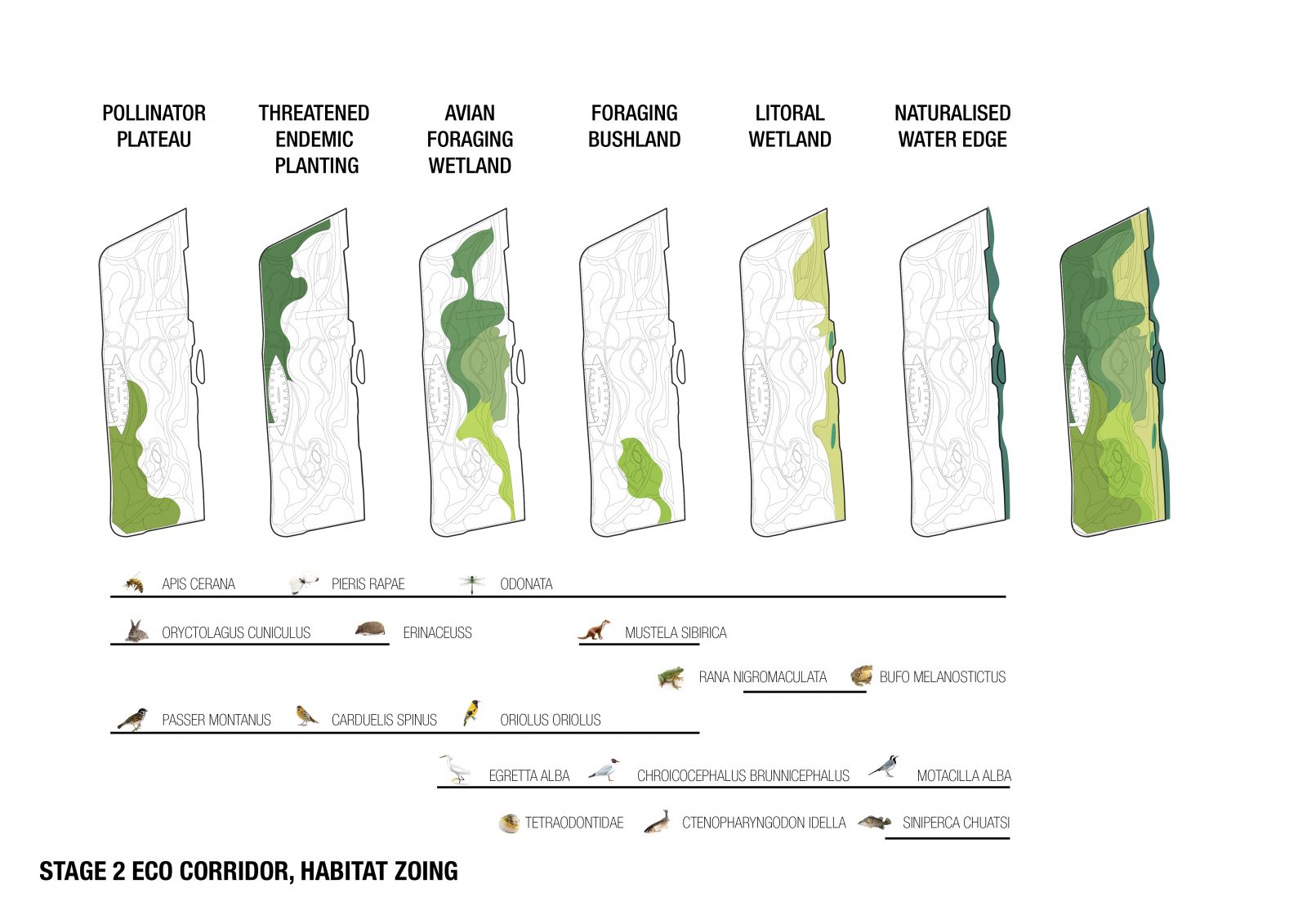 12_Habitat Corridor(2)